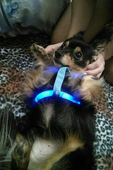 Safety Glowing Pet Harness With LED