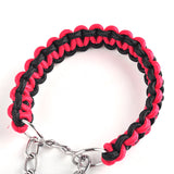 Big Dog Plaited Leash And Collar Set