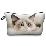 Weekly Best Seller #84 - Livin' Life